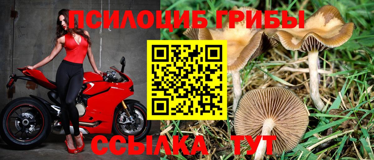 Псилоцибиновые грибы Cubensis  Галлюциногенные грибы Cubensis  Волоколамск  продажа наркотиков  Вход с VPN 